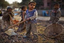 الجزائر تحيي اليوم العالمي لمكافحة عمالة الأطفال وسط دعوات بالتطبيق الصارم للقانون