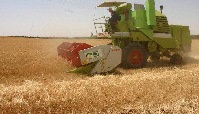 إعتماد نظام البطاقة الايكولوجية للمنتوجات التي تراعي المعايير البيئية