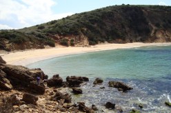 عمليات البحث عن شخصين فقدا في عرض البحر بالطارف متواصلة لليوم الثاني على التوالي