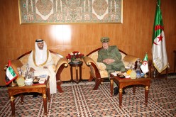 بالصور قايد صالح يستقبل وزير الطاقة الإماراتي