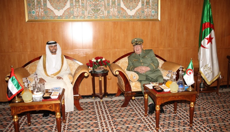 بالصور قايد صالح يستقبل وزير الطاقة الإماراتي