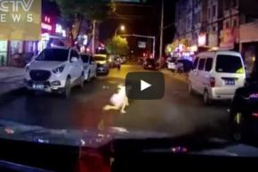 بالفيديو.. طفلة تقف وتمشي بعد دهسها بسيارة