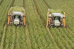 إنجاز أكثر من 200 كلم من المسالك الفلاحية بغرداية