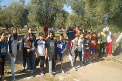 انطلاق امتحانات الرياضة والموسيقى والرسم في شهادتي الباكالوريا والمتوسط