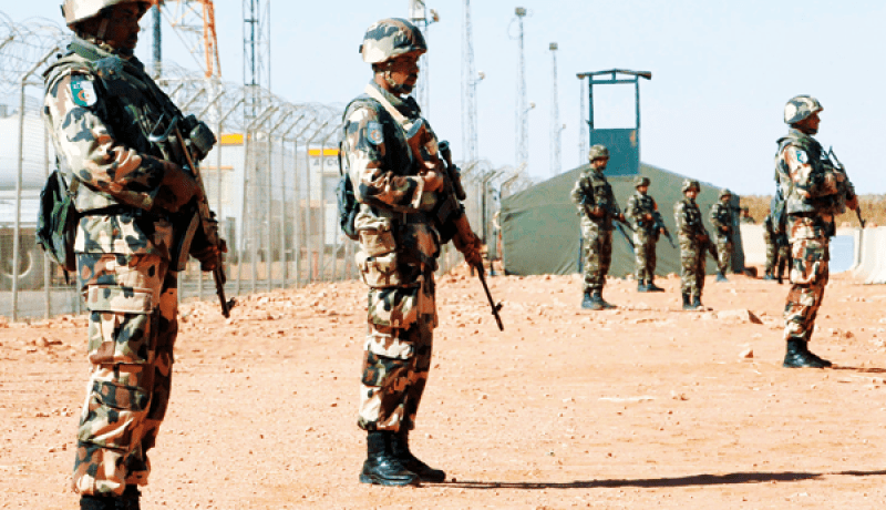 توقيف 3 تجار مخدرات و12 مهربا  وحجز 840 كلغ من الكيف بالجنوب الجزائري