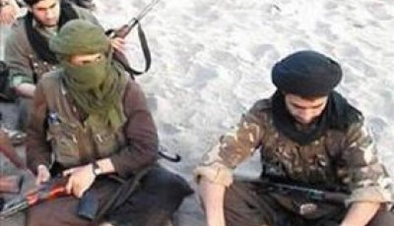 مجموعة ارهابية تستولي على مايفوق الـ100راس من الماشية من البدو الرحل في تيمياوين بأدرار