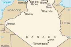 الجزائر بلد رائد في افريقيا