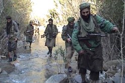 الجماعة السلفية حرّفت فتوى الألباني وكل من التحقوا بالجبال تم تغليطهم بها