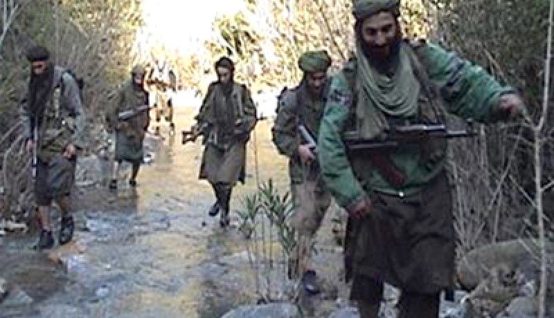 الجماعة السلفية حرّفت فتوى الألباني وكل من التحقوا بالجبال تم تغليطهم بها