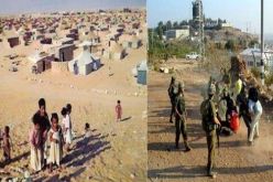 الجزائر تستوقف المجلس الأممي حول الوضع في فلسطين و الصحراء الغربية