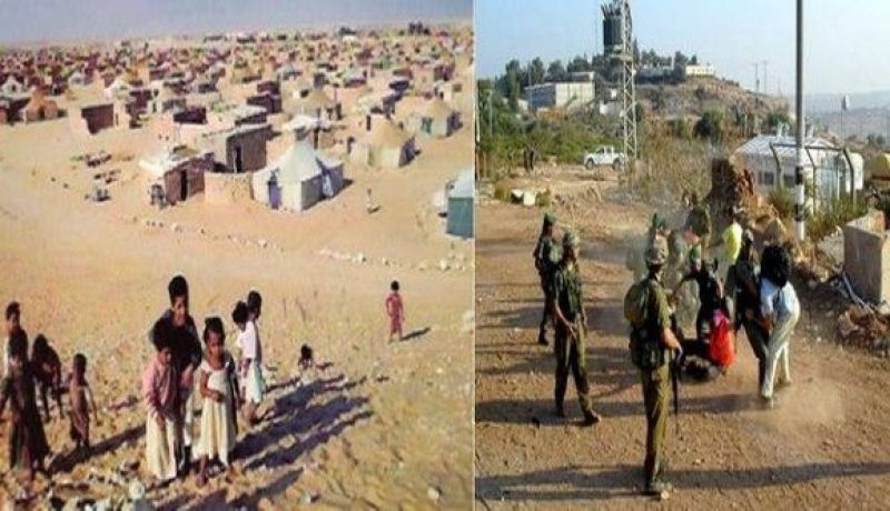 الجزائر تستوقف المجلس الأممي حول الوضع في فلسطين و الصحراء الغربية