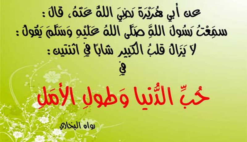 يسكن قلبي شيئ اسمه حب الدنيا.. وحلم العيش في جنة الأرض