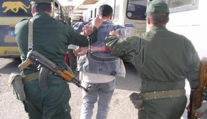 حجز أزيد من 1.600 كلغ من الذهب وتوقيف شخصين في مستغانم