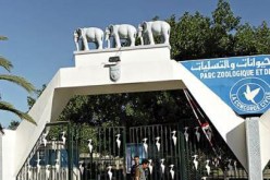 مسؤولون يفضلون التخفي بسبب الفضائح