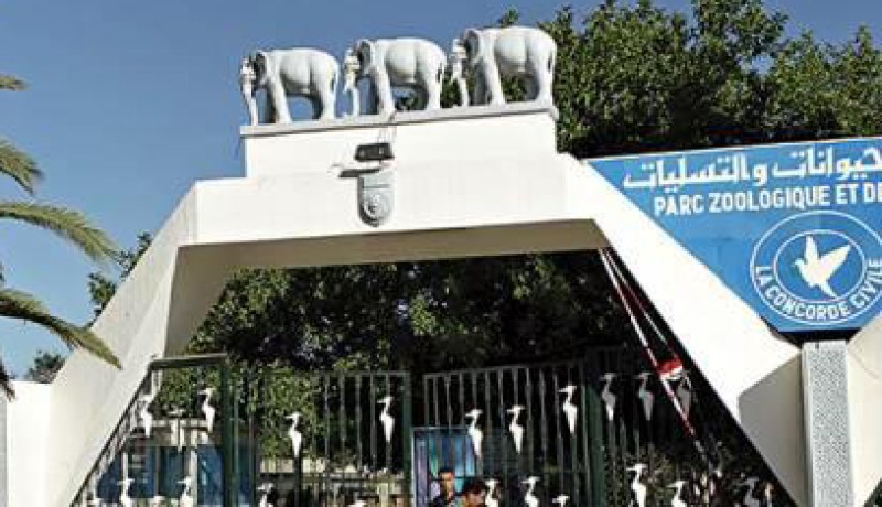 مسؤولون يفضلون التخفي بسبب الفضائح