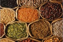 الوزارة تطمئن المواطنين و تعلن عن انخفاض اللوبيا و العدس الاسبوع المقبل