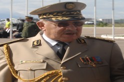 الجيش أوّل من‮ ‬يحافظ على الغابات‮