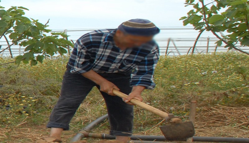 فلاح يشعل الحرائق ليستولي على مساحات غابية في سكيكدة!