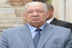 الجيش يُحيي الرقم الأخضر
