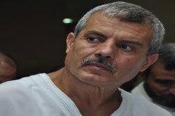 ميمون على خطى مرسي