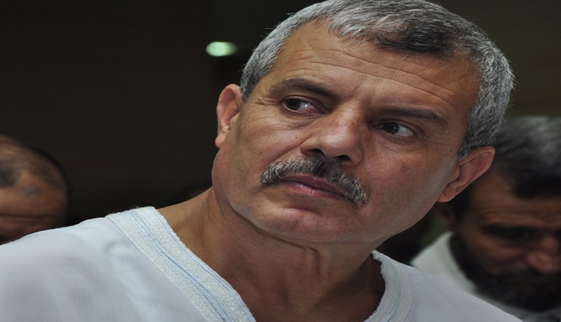 ميمون على خطى مرسي