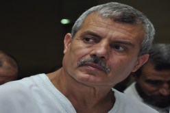 ميمون في‮ ‬حداد