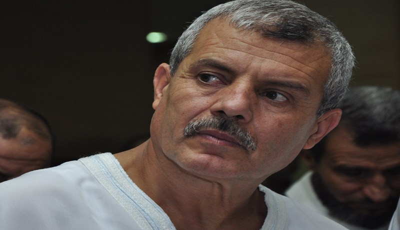 ميمون في‮ ‬حداد