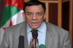 تواتي‮ ''‬المكريزي‮'' ‬