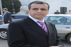 خبرة مصيطفى والتجربة السودانية