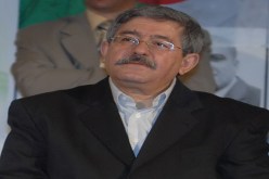 الأرندي‮ ‬يستعدّ‮ ‬لخوض معركة المحلّيات