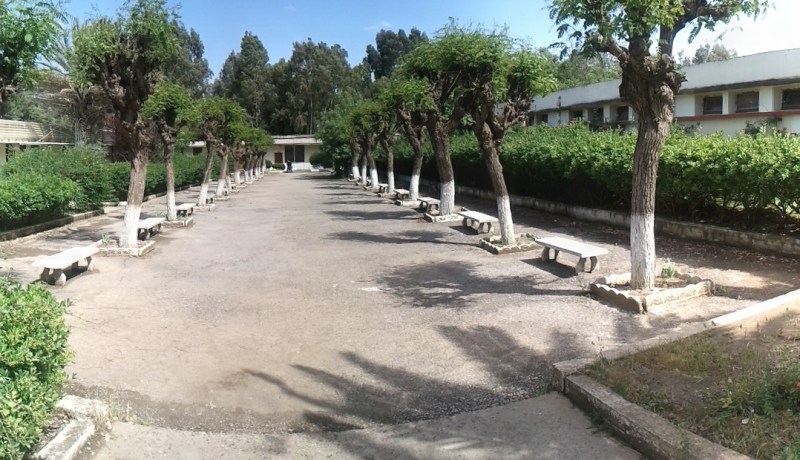 ‬سؤال جريء وإجابة ذكية