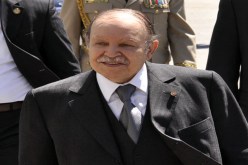الثقة في‮ ‬بوتفليقة