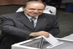 سقوط الإسلاميين‮.. ‬يُبهج العالم‮‬