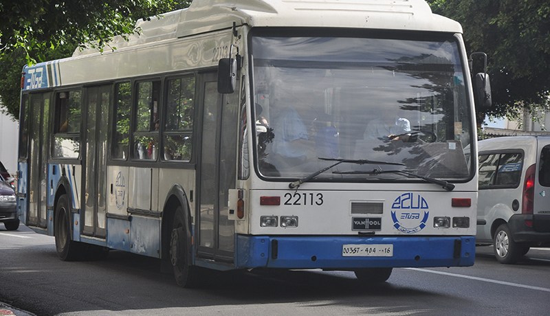 متحف داخل 30 حافلة