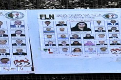 الحمار يقحم في الحملة!