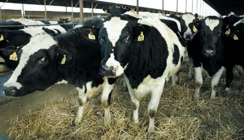 غرفة الفلاحين مغلقة  والسبب 8 مارس