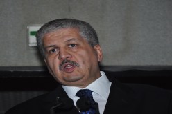 سلال والخدمة واحد