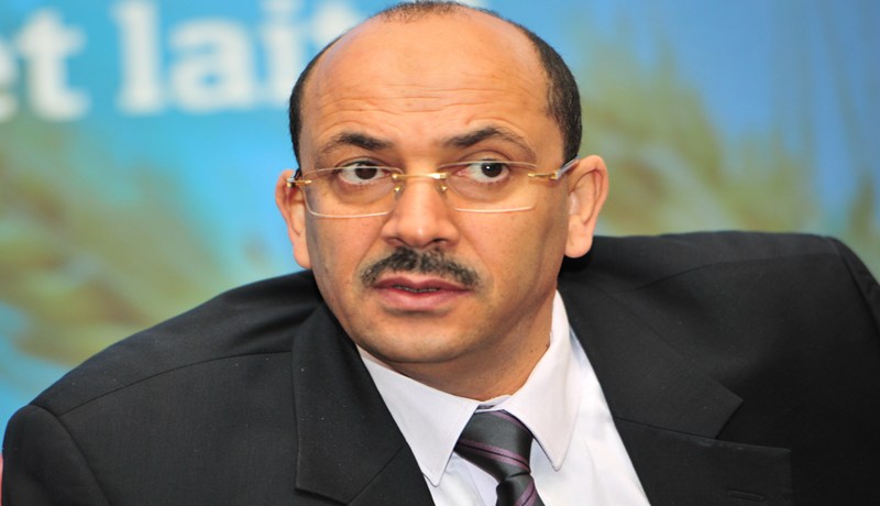 بن بادة والتجربة التركية