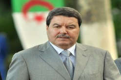 هامل يريد صيفا بدون حوادث