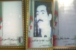 وُلاة بلا صور