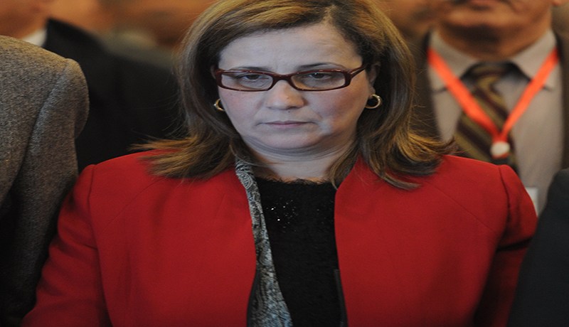 بحث في فائدة وزيرة