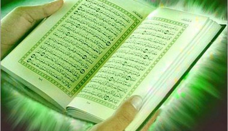 43 سجينا ختموا القرآن حفظا