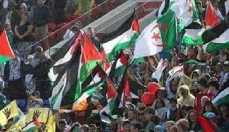 العلم الجزائري في أستراليا لمناصرة فلسطين