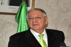 الجرذان في‮ ‬مصالح التوليد