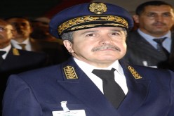 أوّل ضحايا مشروع ألف نخلة ونخلة‬