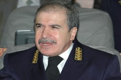 الإفراج عن النخيل