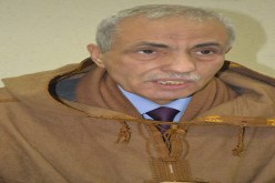 التوانسة معجبون بفكرة بوتفليقة