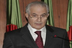 والي بشار يصنع الاستثناء