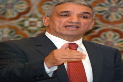 شركـات‮ ''‬هاملـــــة‮''