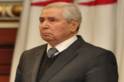 بن صالح‮ ‬يفهم في‮ ‬الاقتصاد‮ ‬